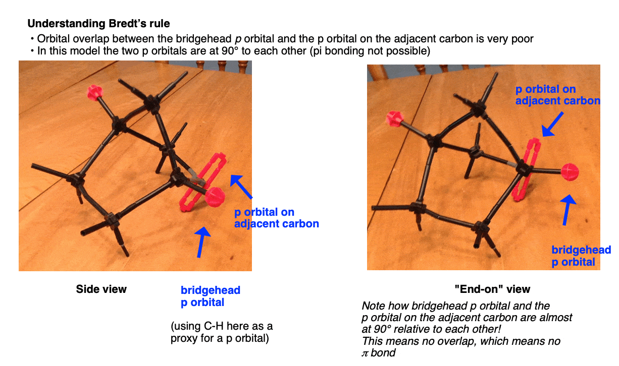 diagram showing poor orbital overlap between bridgehead p orbital and p orbital on adjacent carbon for 2 2 1 bicycloheptene bredts rule