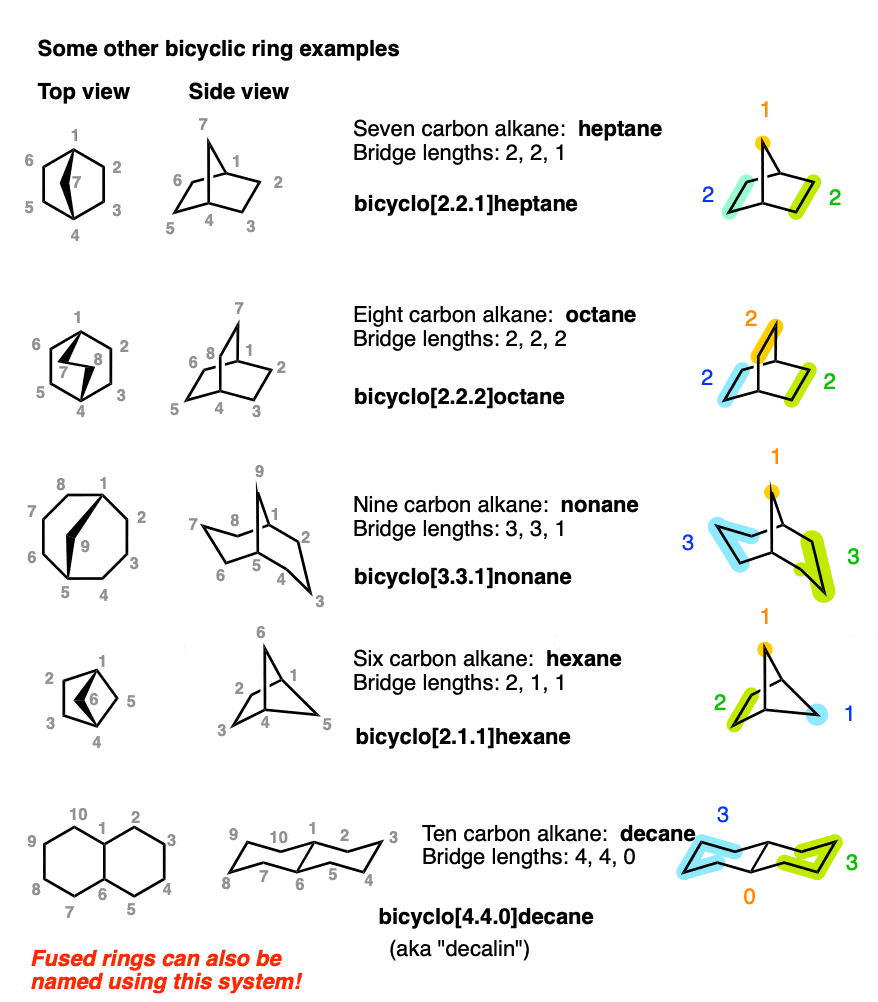 diagrams of bicyclic ring examples top view side view bridge lengths bridgeheads