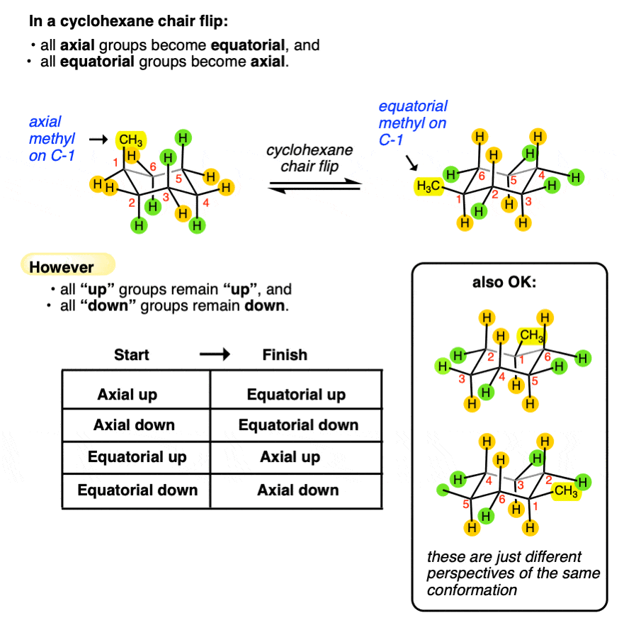 chair clip of 1 methylcycloheane interconversion goes from axial ch3 to equatorial ch3 all axial become equatorial and all equatorial become axial