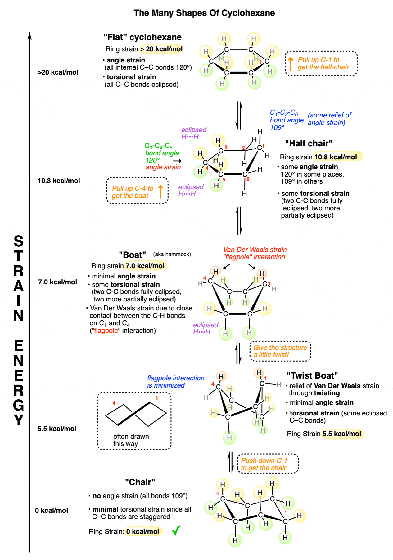 full diagram showing strain energy of various forms of cyclohexane chair twist boat boat half chair flat cyclohexane