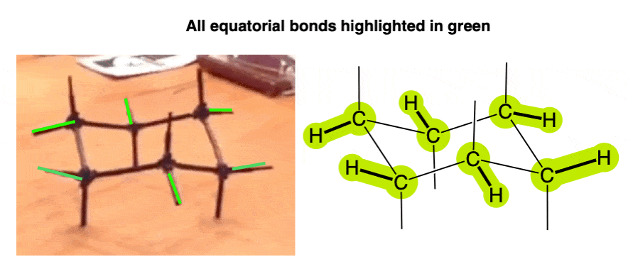 model of cyclohexane chair with equatorial groups labelled in green