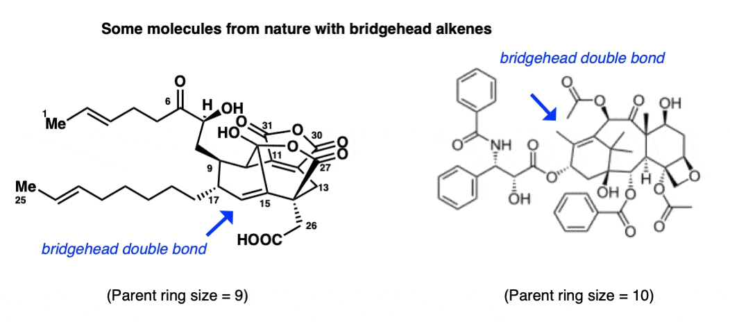 examples of molecules with bridgehead olefins cp225917 and taxol