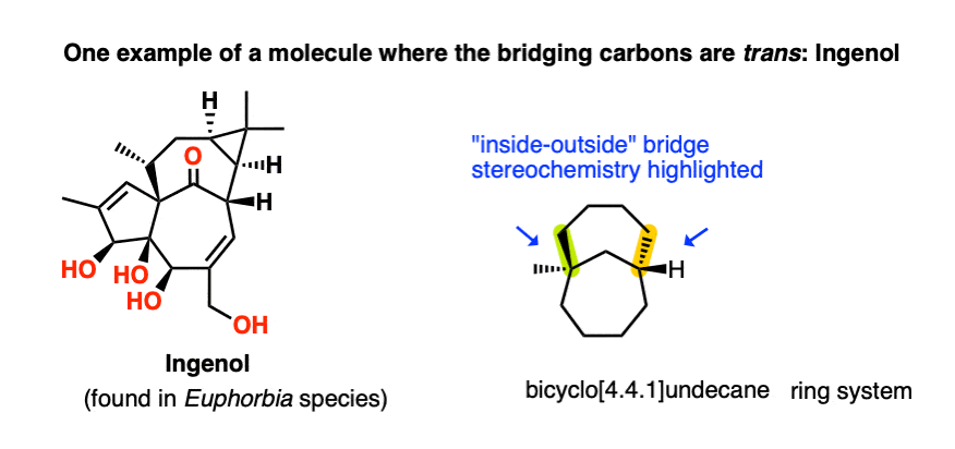 ingenol is example of molecule with in out bicyclic ring junction 4 4 1 bicyclic
