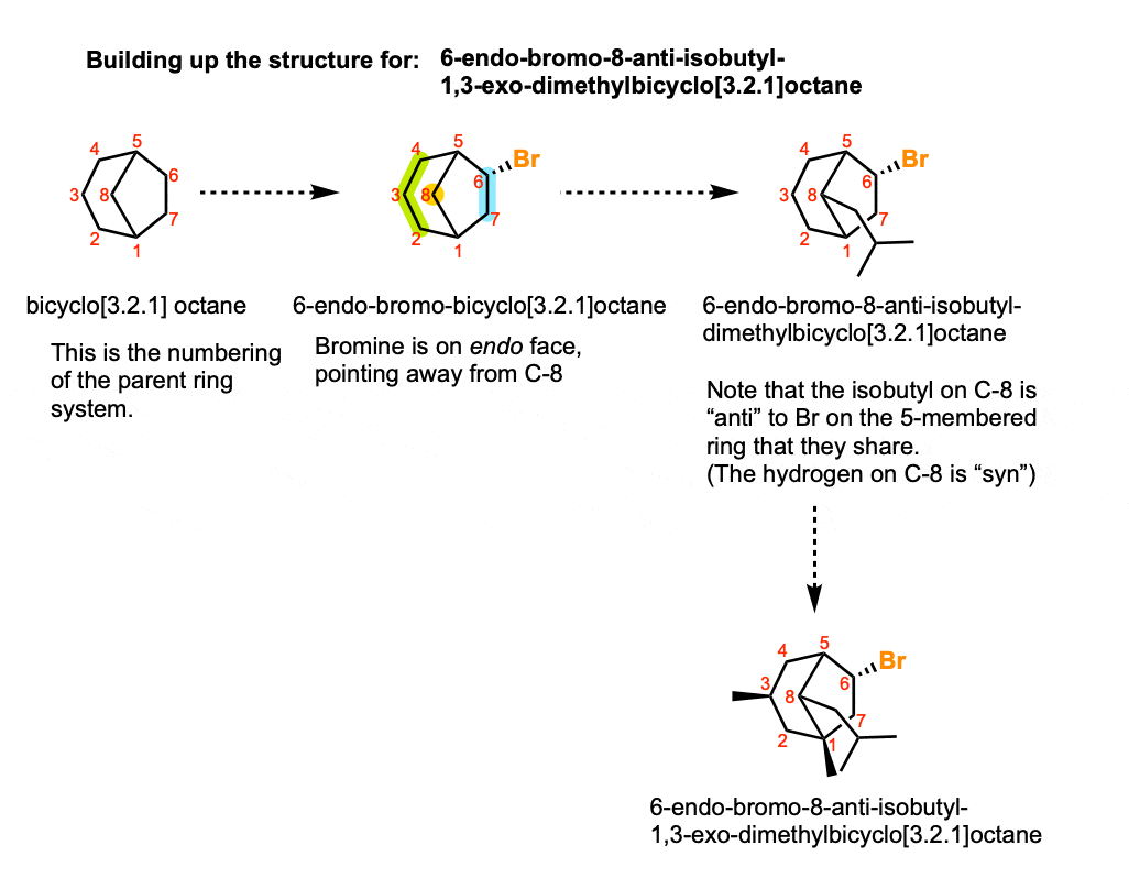 detailed naming example of complex bicyclic molecule step by step