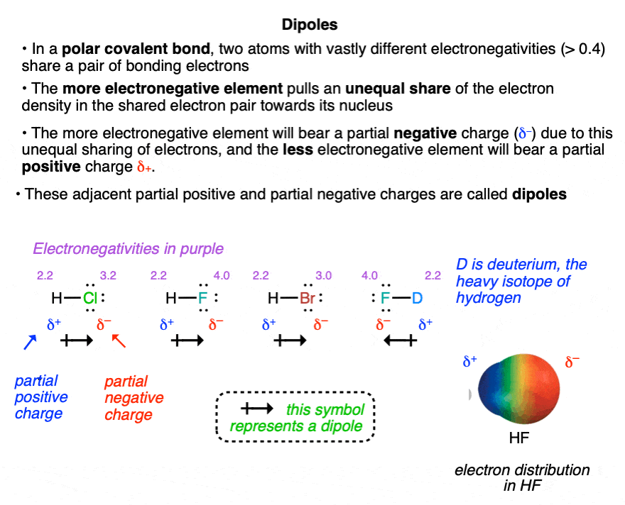 what are dipoles - opposite adjacent partial charges due to electronegativity differences between atoms