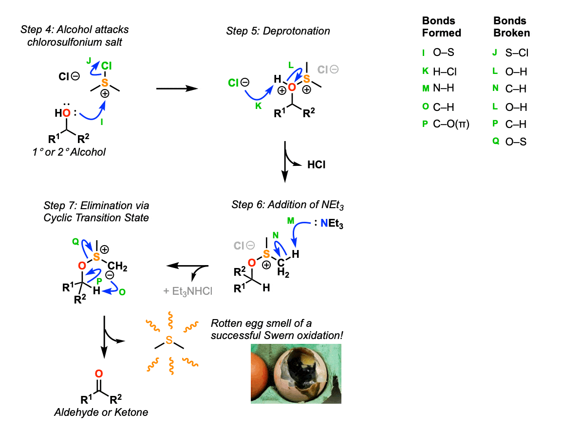 mechanism of swern oxidation elimination to give carbonyl