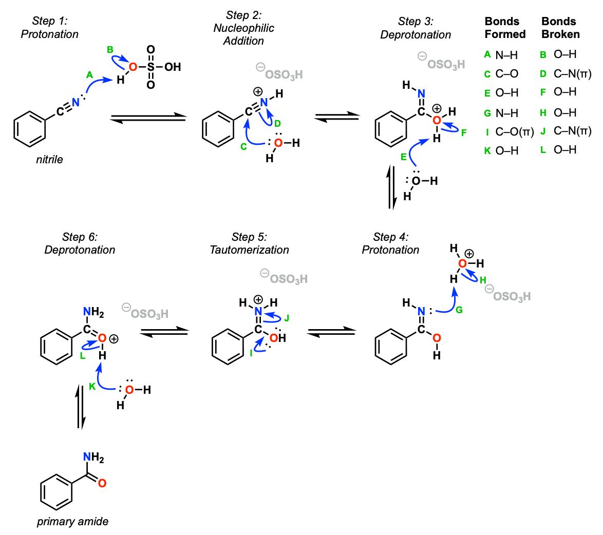 mechanism Hydrolysis of Nitriles to Primary Amides
