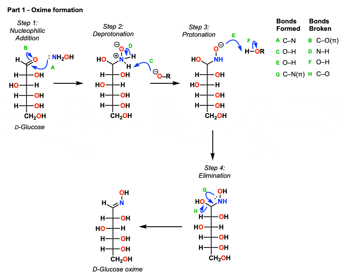 mechanism of wohl degradation - formation of oxime-rev