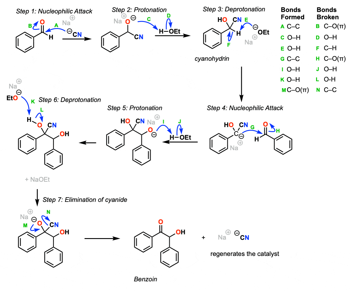 mechanism of the benzoin condensation between two equivalents of benzaldehyde-rev-2