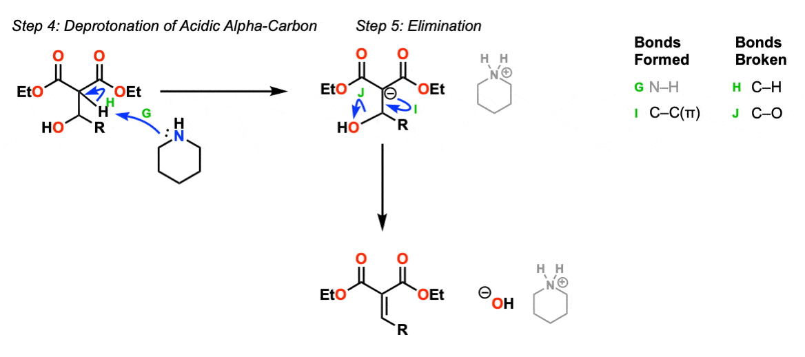 Mechanism of knoevenagel condensation reaction - elimination to give alkene
