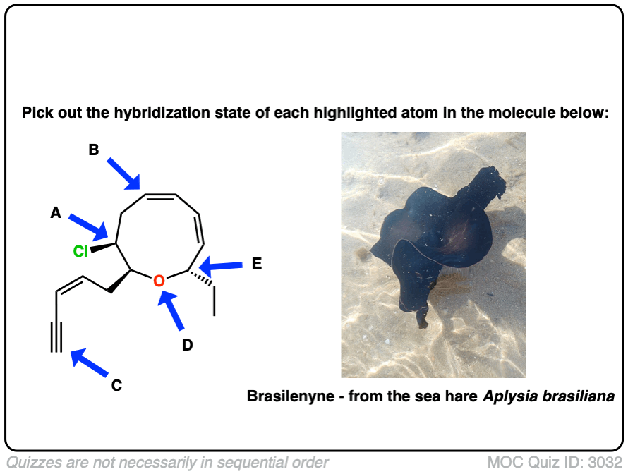Org 1, Midterm Number 1