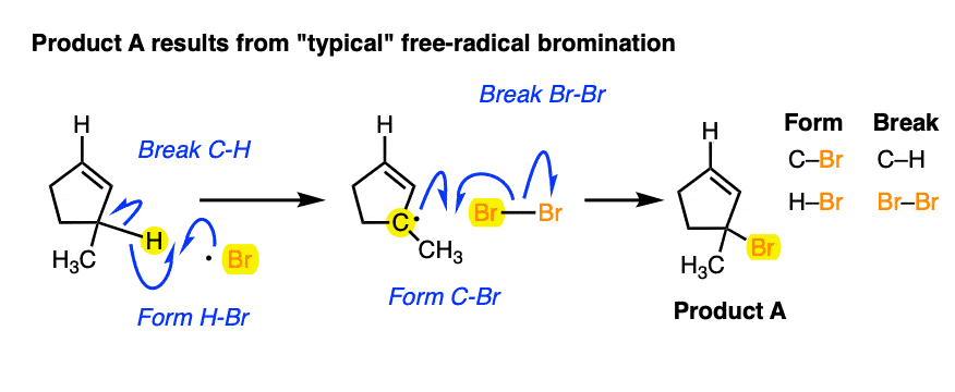 typical reaction product from allylic bromination of 3 methylcyclopentene