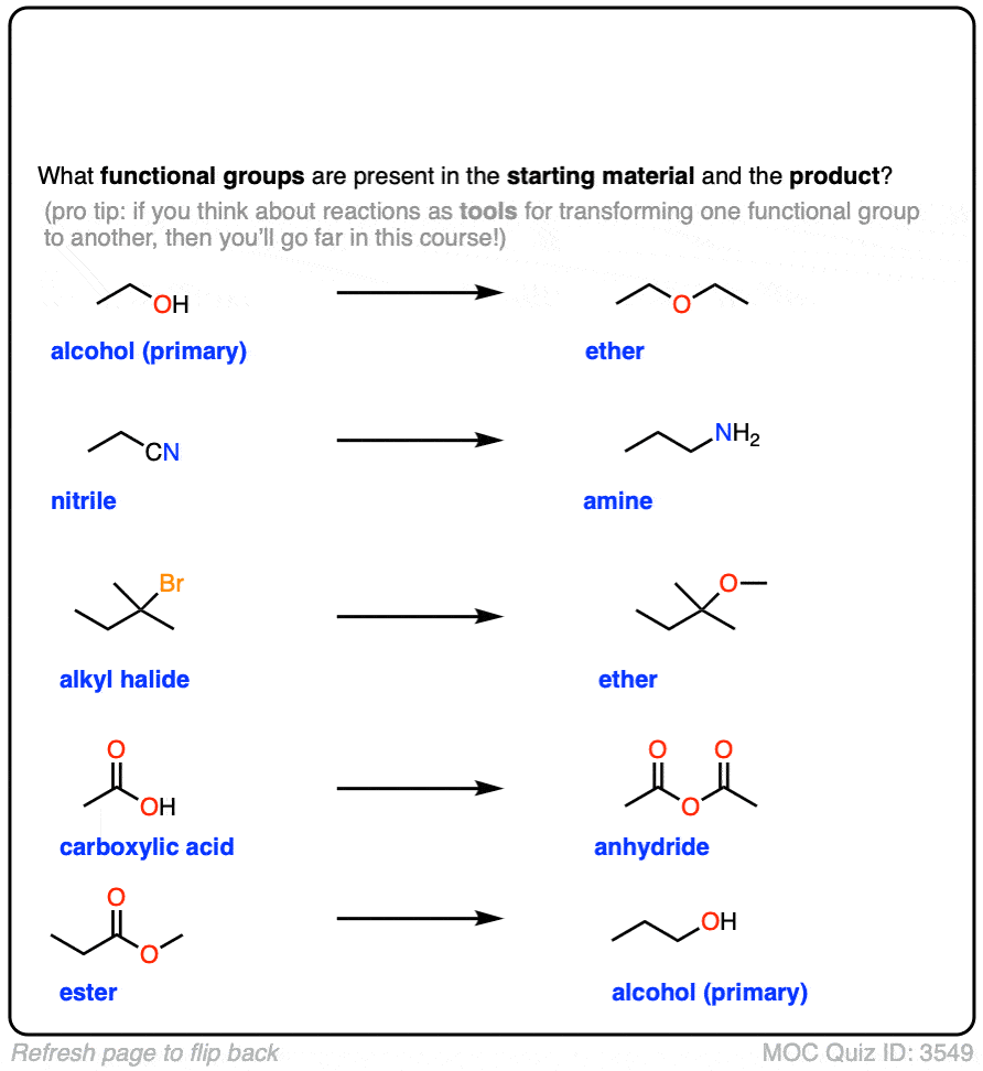 6 Functional Groups Biology
